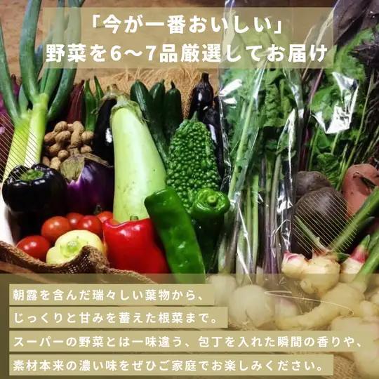 【定期便6回】季節の野菜セット（6～7品）