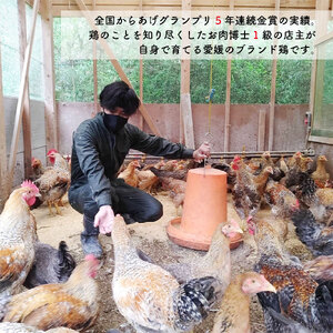 媛っこ地鶏 一羽セット もも むね 手羽先 手羽元 鶏肉 全国からあげ 鶏肉 グランプリ 鶏肉 5年連続 鶏肉 金賞 鶏肉 お肉博士 鶏肉 1級 鶏肉 店主 鶏肉 本気 鶏肉 地鶏 鶏肉 愛媛 鶏肉 