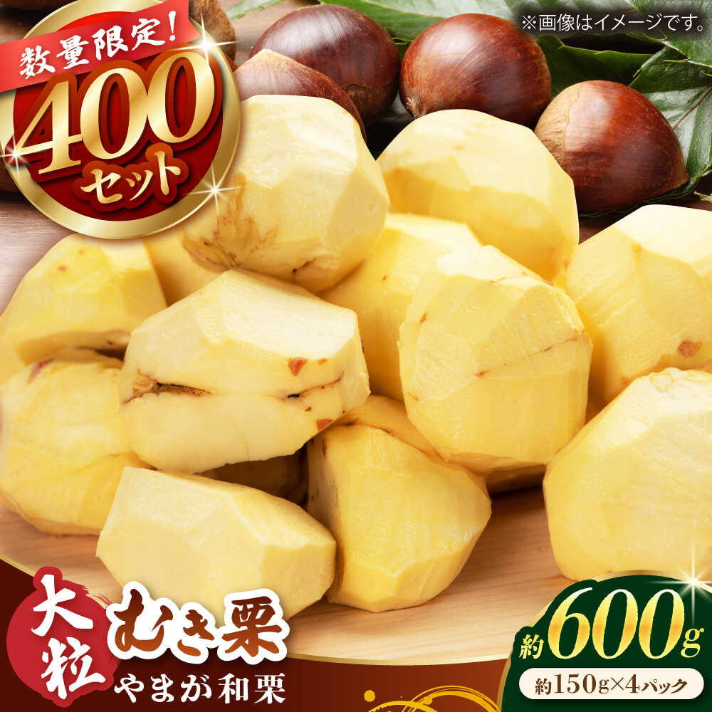 【ふるさと納税】【先行予約】 やまが和栗 大粒むき栗 約600g（約150g×4pc）小分け【古川農園】[ZES001] 栗 大粒 むき栗 くり フルーツ 熊本県産 山鹿市 果物 スイーツ 栗きんとん 甘露煮 ケーキ パウンドケーキ テリーヌ 和菓子 お菓子 栗ご飯 おこわ 料理 惣菜