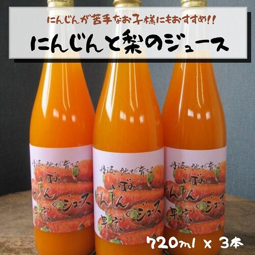 
いずみの にんじん と 果実の ジュース◇【京都 丹波 の地が育てた 野菜 と 果物】《100% 人参 梨 健康 飲みやすい》
