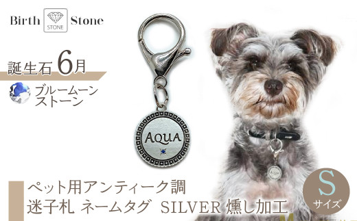 ｅｊブランド『　i-LACQ　』アイ・ラシク ペット用アンティーク調　迷子札　ネームタグ SILVER　燻し加工　Sサイズ　6月　ブルームーンストーン ALPDL022_6