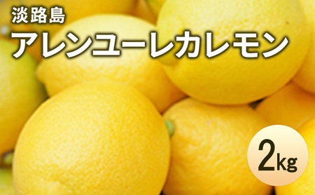 淡路島 アレンユーレカレモン 2kg 檸檬 れもん 果物 フルーツ 季節の果物 兵庫県 洲本市 淡路島