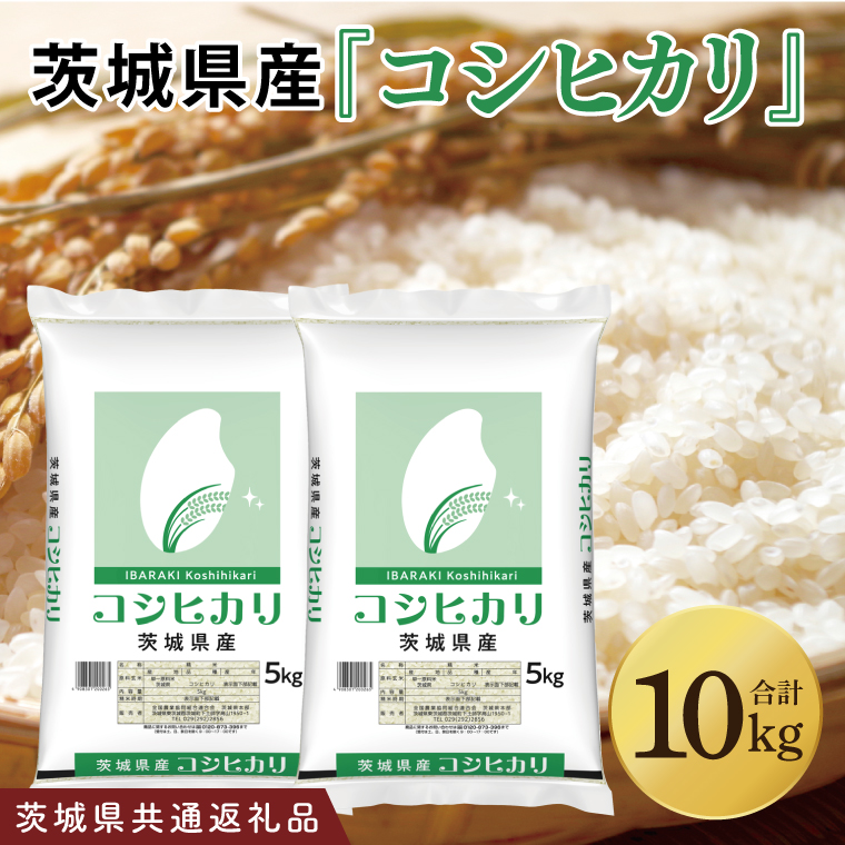 【茨城県共通返礼品】令和7年産 茨城県産 コシヒカリ10kg（5kg×2袋）【お米 米 こしひかり ごはん 茨城県】（03-49-1）