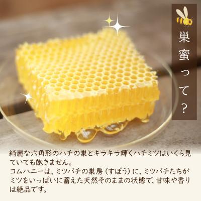 ふるさと納税 京丹後市 京丹後産巣蜜(コムハニー)200g KYOTOTANGOHONEY森の百花蜜 純粋非加熱天然はちみつ |  | 01