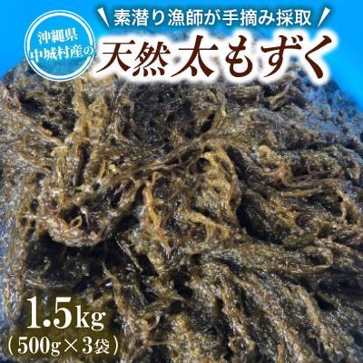 ふるさと納税 中城村 【数量限定・産地直送】素潜り漁師が手摘み採取!幻の天然もずく 塩蔵1.5kg(500g×3袋)