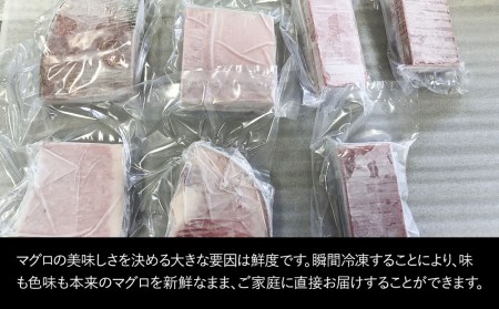 本まぐろづくし セット 大トロ500g 中トロ600g 赤身600g 鮪 海鮮丼 刺し身 刺身 盛り合わせ 冷凍 魚の刺身 大分県産 九州産 津久見市 国産【tsu0003016】