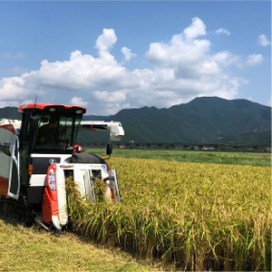 特別栽培米　丹波コシヒカリ　5kg