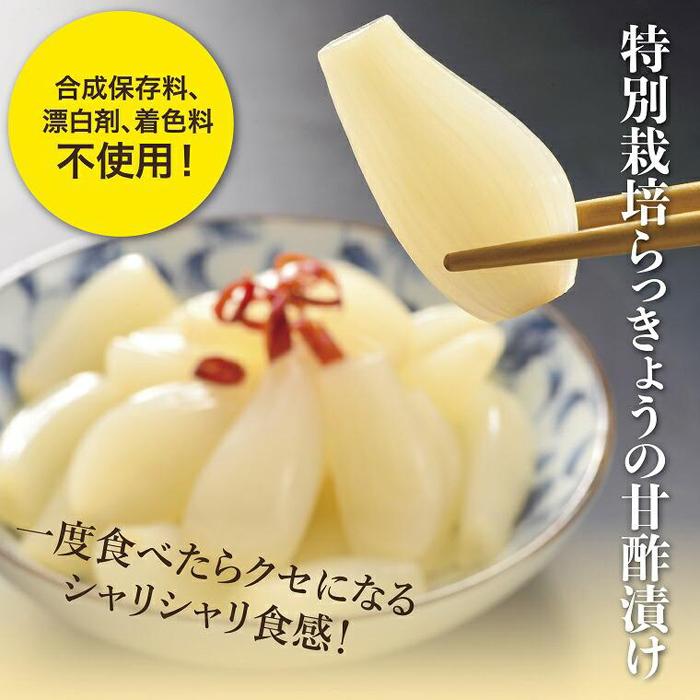 【ふるさと納税】特別栽培らっきょうの甘酢漬（8袋セット） | ラッキョウ　鳥取　送料無料　ラッキョウ 辣韭 おつまみ 肴 ご飯のおとも 野菜 旬 漬物 国産 鳥取産 鳥取砂丘