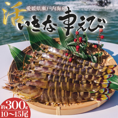 愛媛県瀬戸内海産　いきな車えび 約300g(10～15尾)【配送不可地域：離島・北海道・沖縄・東北・関東・信越、北陸・東海・九州】【1445481】