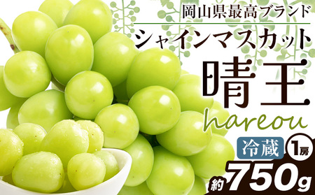 【2026年発送】シャインマスカット 晴王 約750g晴レ乃青果　(岡山中央卸売市場店(富士紙工 有限会社))  