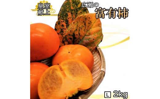【2026年発送★先行予約】甘柿の王様　広瀬の富有柿 2kg Lサイズ 約7～9玉 179-012-26y