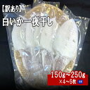 【ふるさと納税】【訳アリ】白いか一夜干し　（150g〜250gx4〜5枚） 訳アリ 小分け いか 白いか 個包装 一夜干し 産地直送 ふるさと納税 おつまみ【1962】