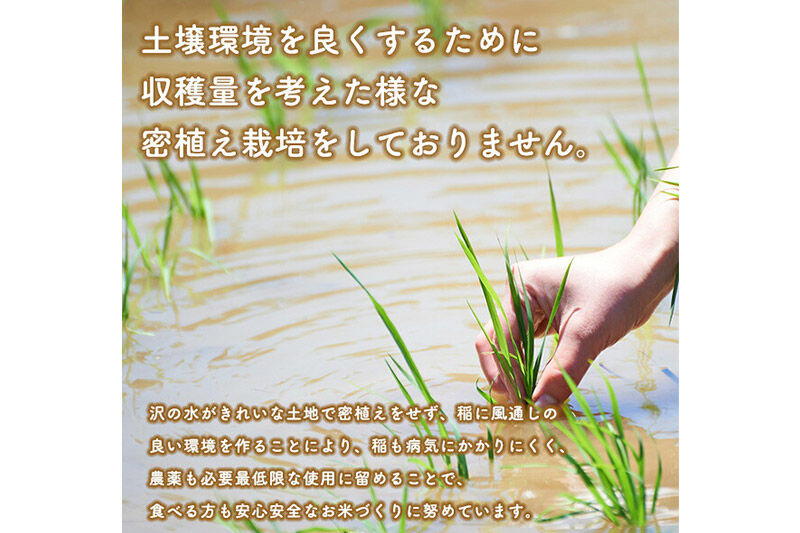 《定期便10ヶ月》あきたこまち 3kg×1袋【7分づき】令和7年産 秋田県産 こまちライン [こまちライン あきたこまち ブランド米 お米 7分搗き 精米 米どころ 秋田 秋田県産]