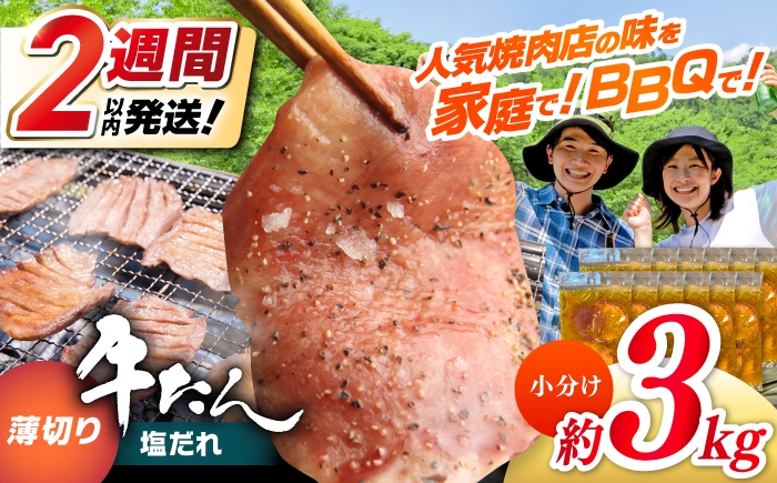 
            薄切り 牛タン 塩だれ  約250g×12パック 計約3kg 小分け 個包装 味付け タレ たれ 高知県 お肉 牛肉 贅沢 焼き肉 BBQ バーベキュー 訳あり わけあり ワケアリ 牛たん 【焼肉寛十郎】 [ATDO035]
          