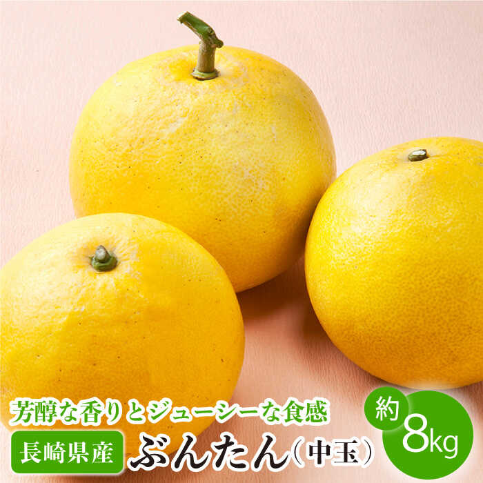 【ふるさと納税】【先行予約】ぶんたん 中玉 約8kg【長崎ぶんたんの会】[OAF002] / 文旦 ブンタン 贈り物 ギフト フルーツ 果物 甘い くだもの 長崎県産 柑橘 デザート みかん かんきつ さっぱり 爽やか ジューシー サラダ 産地直送 お取り寄せ グルメ 家庭用 贈答 数量限定