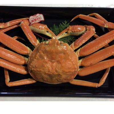 ふるさと納税 鳥取県 【魚倉】タグ付きボイル松葉ガニ　大1枚約800g(ボイル前)