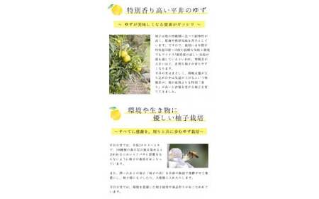 古座川町のゆずドリンク ストレートドリンク柚香ちゃん（30本入り） ゆず 柚子 ジュース セット ユズ ドリンク【yuz106B】