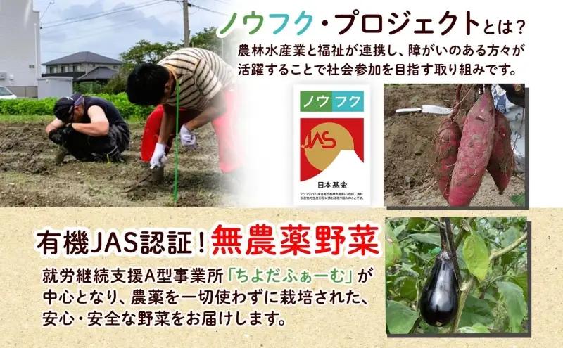 【全4回 2月・5月・8月・11月】 定期便 季節の野菜 詰め合わせ ノウフク 冷蔵便 就労支援 セット 詰合せ 農福 農福JAS 無農薬 有機JAS 有機栽培 オーガニック 野菜 新鮮 料理 旬 季