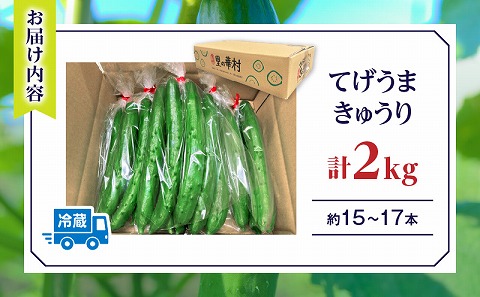 てげうま きゅうり 2kg きゅうり 生野菜 新鮮