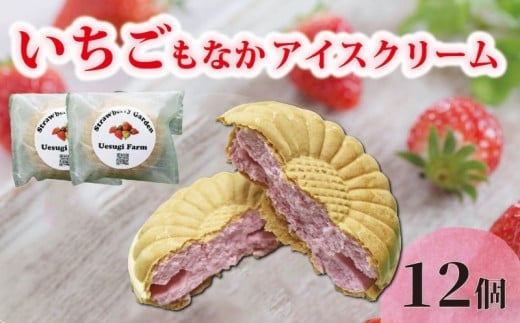 いちご農家のひんやりアイス 最中アイス12個 いちご 苺 イチゴ いちごアイスクリーム アイス アイスクリーム 最中アイス 最中 もなか モナカ 冷たい ひんやり セット 人気 おすすめ ふるさと納税 京都 八幡 八幡市 上杉農園