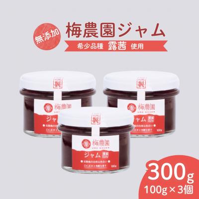 ふるさと納税 南相馬市 梅農園ジャム 300g (100g×3個) | 梅ジャム 梅 国産 無添加 完熟 露茜 相馬アグリ