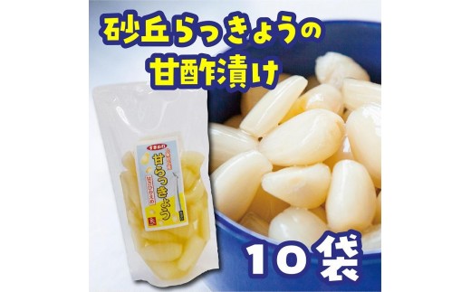 砂丘らっきょう 甘酢漬 180ｇ10袋入り【らっきょう らっきょ ラッキョウ ラッキョ らっきょう漬け ラッキョウ漬け カレー 人気 おすすめ 鳥取県 琴浦町 送料無料】