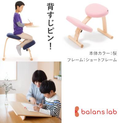 ふるさと納税 美濃市 バランスイージー ショート[桜]+イージーライティングボードL【複数個口で配送】