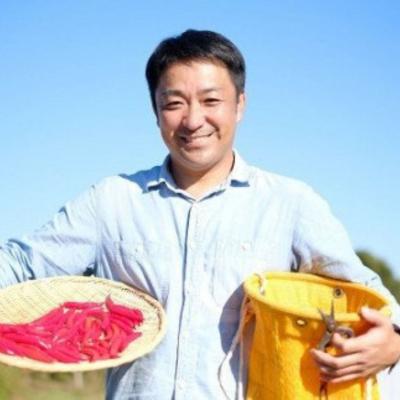 ふるさと納税 熊野市 【テレビで紹介されました】【熊野唐辛子】プサジュエラ(乾燥) 1000g |  | 03