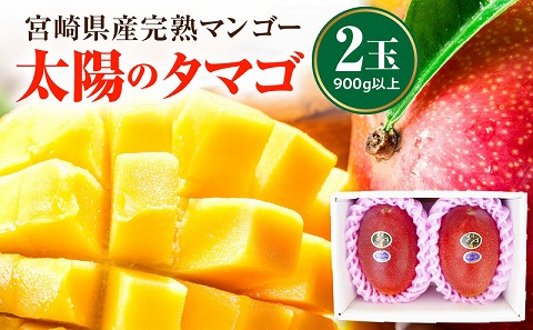 《2026年発送先行予約》【数量・期間限定】宮崎県産完熟マンゴー「太陽のタマゴ」A3L(2玉入り) 宮崎県産 国産 太陽のタマゴ マンゴー 完熟マンゴー 完熟 A3L 2玉 フルーツ 果物 くだもの デザート 南国 贈答 贈り物 ギフト プレゼント グルメ お取り寄せ