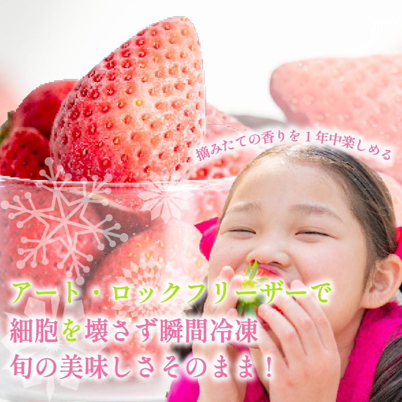 いちご 冷凍 オーガニック 1kg B品 苺 ストロベリー フルーツ 果物 くだもの 国産 洋菓子 和菓子 スイーツ お菓子 おやつ アイス ケーキ パフェ タルト ゼリー 徳島県