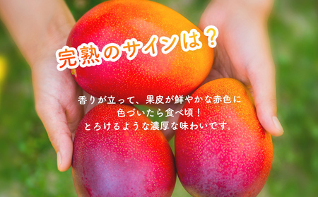 ハナトフルーツ 沖縄県産 訳ありマンゴー２ｋｇ 【2025年発送】