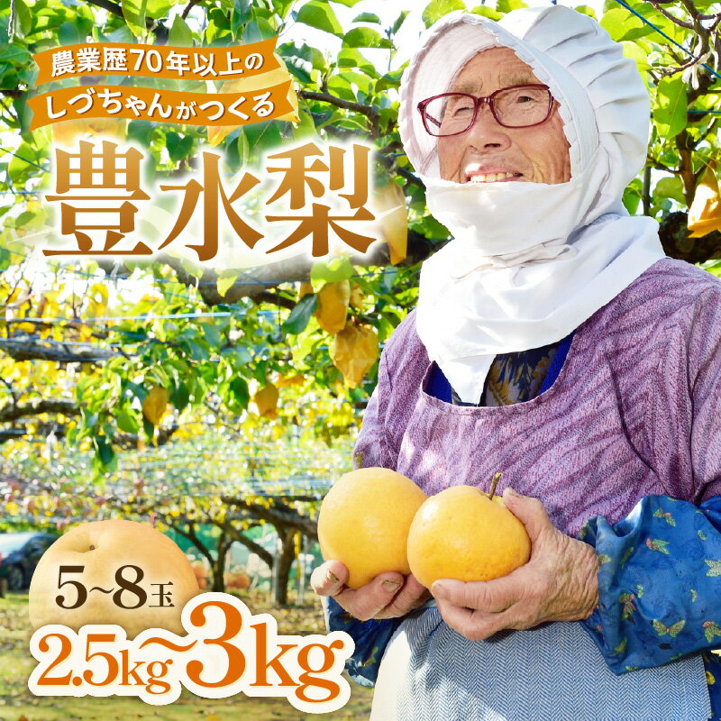 【ふるさと納税】【先行予約】しづちゃんが作る 豊水梨 5～8玉入（2.5～3kg）農業歴70年以上！ / なし 果物 旬 フルーツ 甘い ジューシー 果汁 くだもの シャキシャキ 人気 完熟 もぎたて みずみずしい 越前梨 送料無料 福井 あわら市 ※2026年9月上旬以降順次発送予定