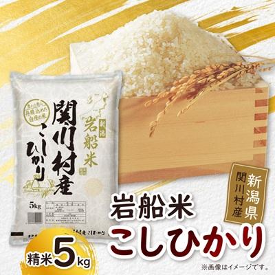 ふるさと納税 関川村 炊きたてつやつや R7年産 新潟関川村産 岩船米こしひかり 精米5kg [星山米店]