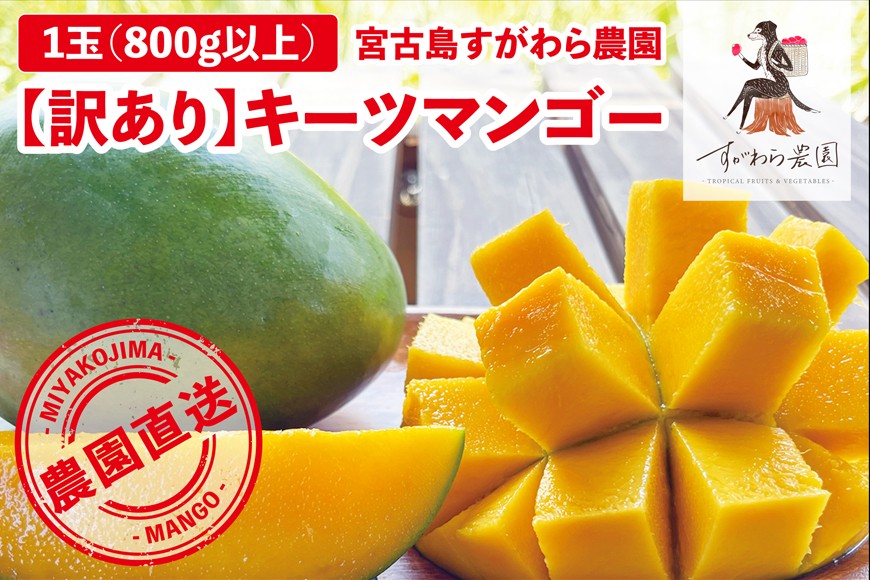 
            FR009　宮古島すがわら農園 【訳あり】 キーツマンゴー １玉
          