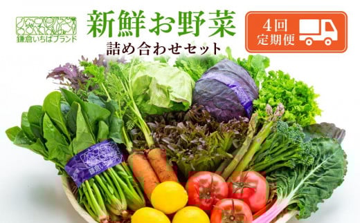 
【3ヶ月毎計4回 定期便】四季を味わえる「鎌倉いちばブランド」新鮮お野菜詰め合わせセット

