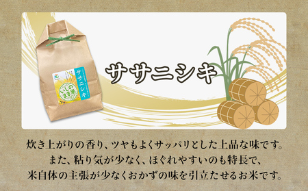 令和7年産 精米３品種 食べ比べ ササニシキ ひとめぼれ だて正夢