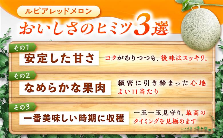 【2026年7月～順次発送】 赤肉 メロン ルピアレッド 2玉 | 赤肉メロン めろん 先行予約 北海道 メロン赤肉 | JAみねのぶ [BOAG007]