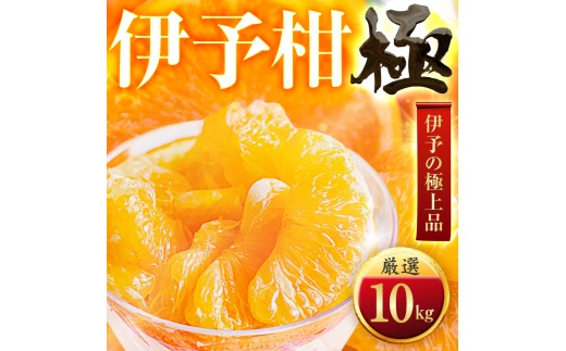 ＜太陽をたっぷり浴びた＞伊予柑＜極＞10kg＜F49-44＞【1509741】 YWTZ036