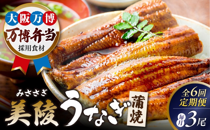 
                  【全6回定期便】鰻 鰻の蒲焼 3尾/ 美陵鰻 鰻 うなぎ ウナギ 蒲焼 蒲焼き かば焼き かばやき 白焼き 白焼 しろやき しらやき 特大 肉厚 うな重 うな丼 ひつまぶし 惣菜 おかず タレ 山椒 国産 土用 丑の日 ギフト 美陵鰻 関西風地焼き 高級 ふっくら 冷凍 定期 国産うなぎ 蒲焼き おすすめ 人気 / 大阪府藤井寺市/Giverichホールディングス株式会社 [BLAM011]
                