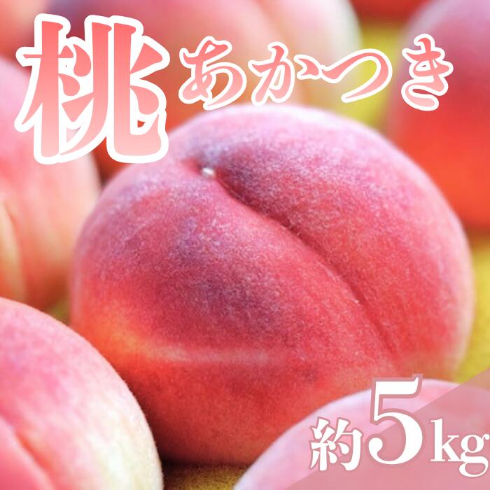 【ふるさと納税】【2026年7月下旬発送】もも　あかつき　約5kg　　桃｜モモ｜果物｜フルーツ｜長野県産｜南信州｜豊丘村