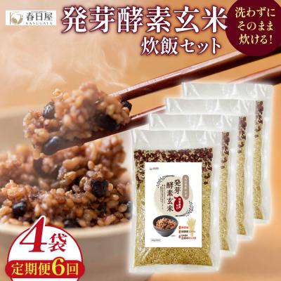 ふるさと納税 玖珠町 【定期便6回】 発芽酵素玄米炊飯セット 3合 (450g) 洗わずそのまま炊ける 無洗米 4袋 米