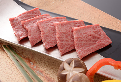 【最高級】飛騨牛A5ランク 霜降り焼肉 900ｇ  【39-11】