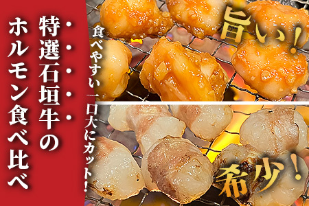 希少な特選石垣牛のホルモンをご家庭で！！マルチョウ300g×4パック 秘伝の味噌味とプレーンの食べ比べセット【 沖縄 石垣 和牛 石垣牛 希少 特選 肉 味噌 みそ 味付 ホルモン マルチョウ 冷凍 