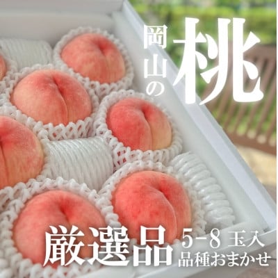 
            ＜2026年先行予約＞＜厳選品＞旬の桃(品種おまかせ) 大玉5-8玉入(岡山県産)_桃 白桃 もも 甘い 果物 フルーツ 岡山県 津山市【1571586】
          