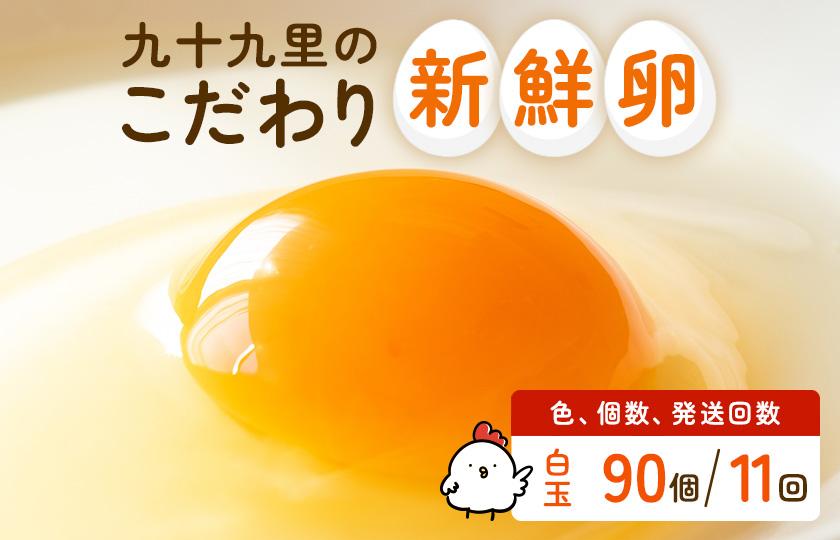 【定期便11回】九十九里ファームこだわりたまご贈答用 90個 ～あおい海・みどりの里～《白玉》 たまご 卵 玉子 タマゴ 白玉 卵かけご飯 新鮮 旨み 甘み 贈答用 贈答 ギフト 贈り物 千葉県 匝瑳市