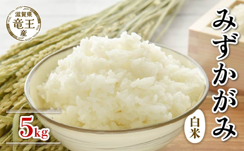 
            【 先行予約 】 令和7年産 新米 予約 みずかがみ 白米 5kg 米 滋賀県 竜王町 国産 農家直送 特別栽培米 ミズカガミ  2025年産 国産 農家直送 環境こだわり お米 こめ おこめ 産地直送 送料無料 滋賀県 竜王町 ふるさと納税
          