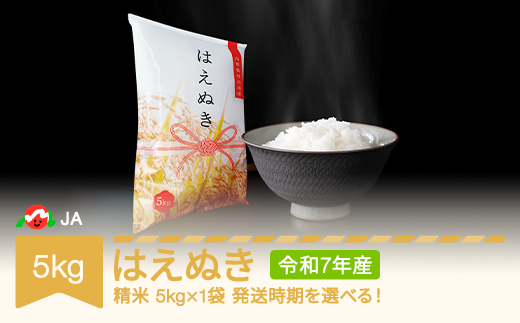 
            【先行予約】新米 米 コメ 5kg はえぬき 精米 令和7年産 2025年産 山形県村山市産 ja-haxxa5
          