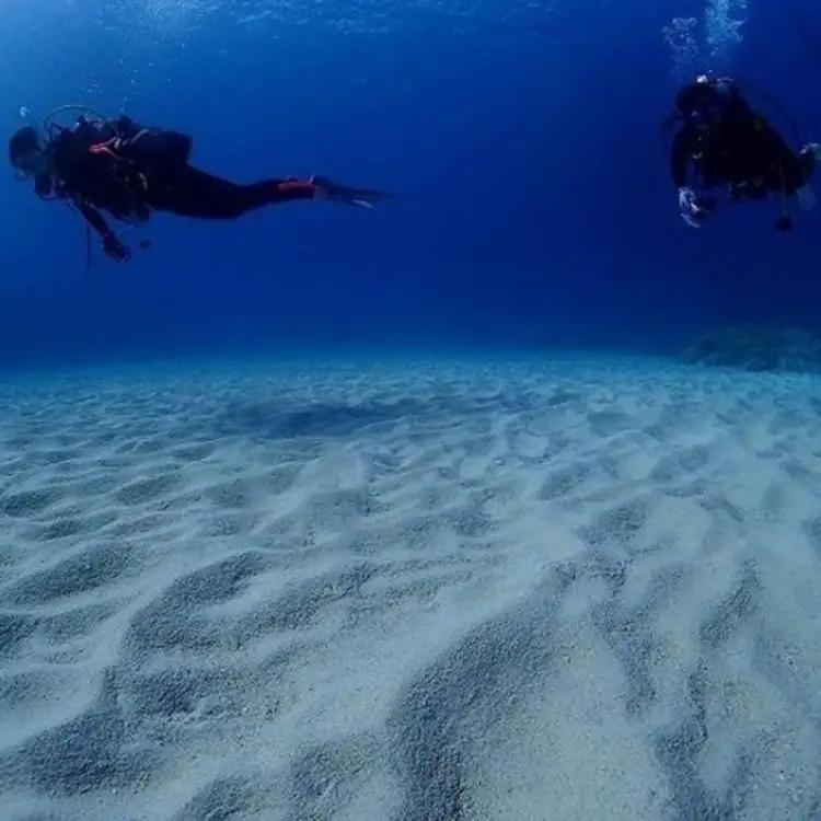 チケット ファンダイビング ｜ 初級2DIVE（2名 or 2日）万座近海【恩納村ラグーン】
