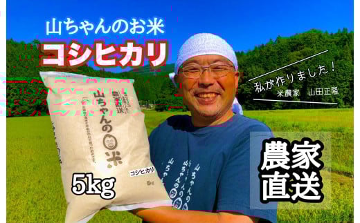 【10月1日発送開始】令和7年度産 農家直送「山ちゃんのお米」コシヒカリ5kg 残留農薬202項目検査済み 残留放射能測定済み (486)