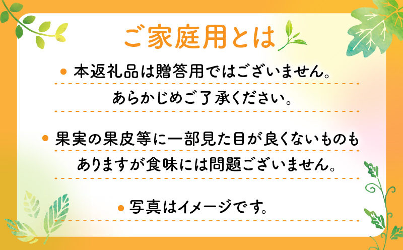 訳あり ご家庭用 さぬきゴールドキウイ (小玉) 約1kg【2024年10月中旬～2025年1月下旬配送】